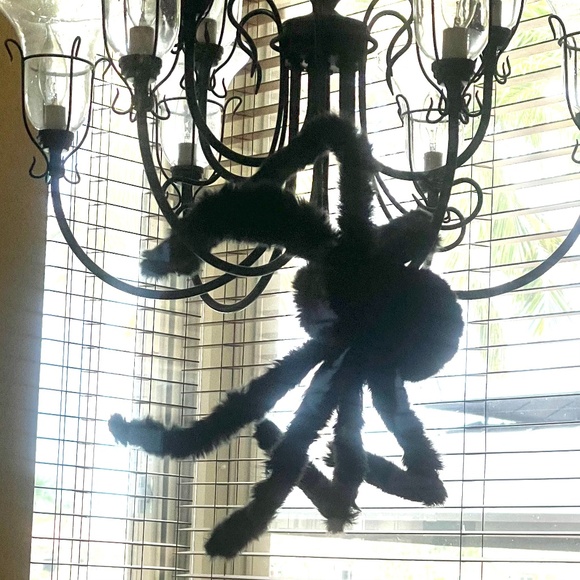 Big furry spiders. This bundle has a total of 4 all black. - Picture 2 of 4